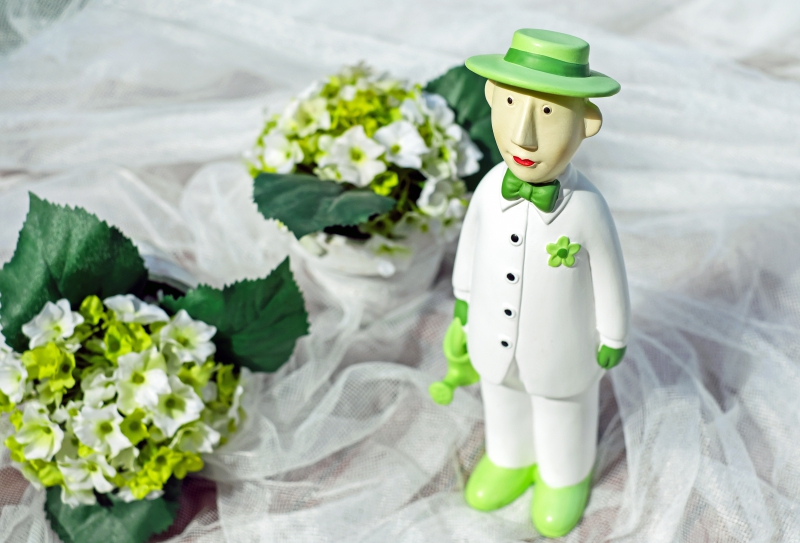 boutique-SOLLIES PONT-min_man-person-flower-green-toy-fig-546529-pxhere.com